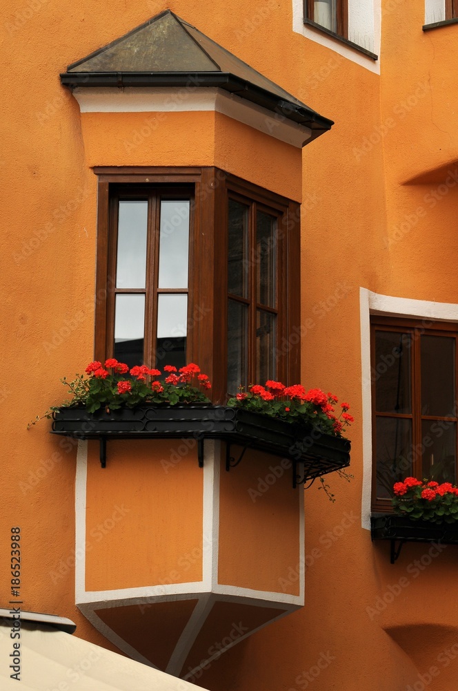 Typical windows in south tyrol