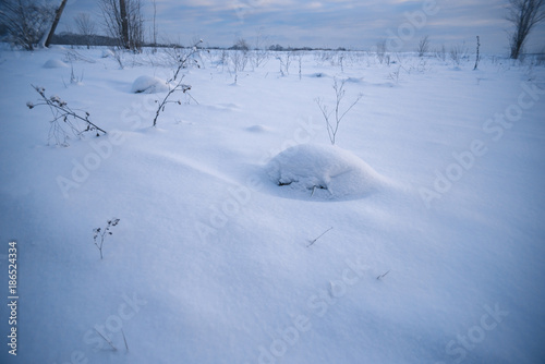 Evening snowy landscape in the countryside outside the city. © prokop.photo