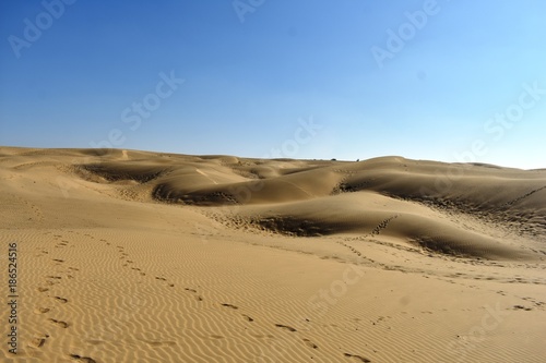 Fototapeta Naklejka Na Ścianę i Meble -  sam sand dunes in thar desert jaisalmer rajasthan india