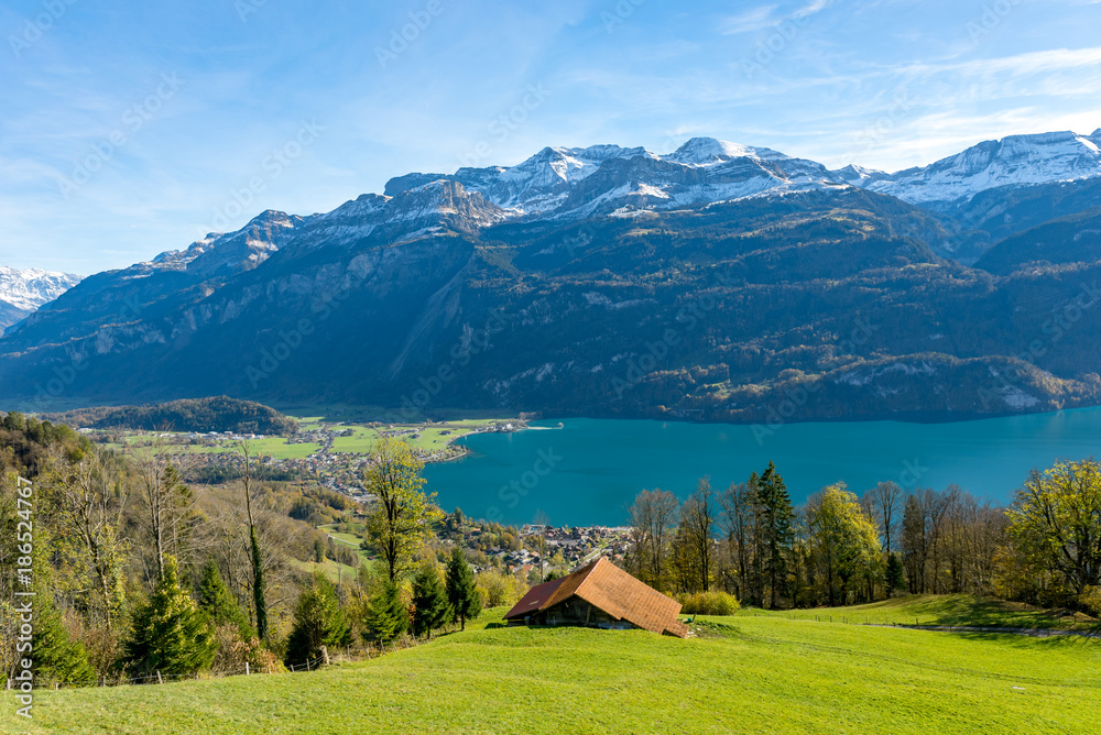 Panoramic view of lake Brienz & Swiss alps from classic old red train ...