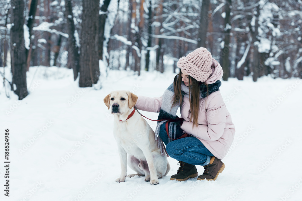 young woman with labrador dog in winter park young woman with labrador dog in winter park