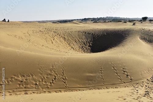 Fototapeta Naklejka Na Ścianę i Meble -  sam sand dunes in thar desert jaisalmer rajasthan india