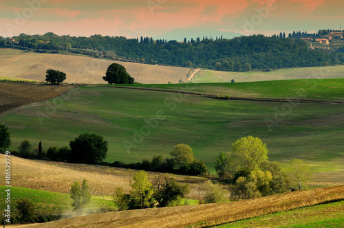 Typical Tuscany Countryside near Siena. Italy