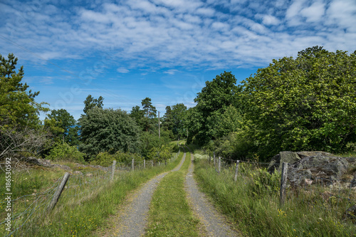 Small road in the Swedish countryside  leading to a farm