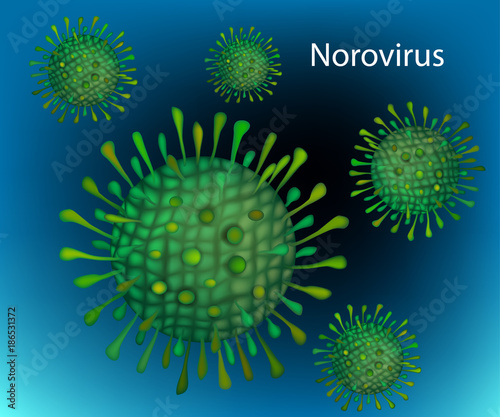 
Norovirus or "Winter vomiting bug"
