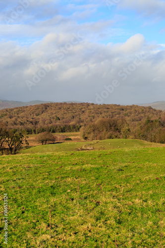 Lake District Landscape