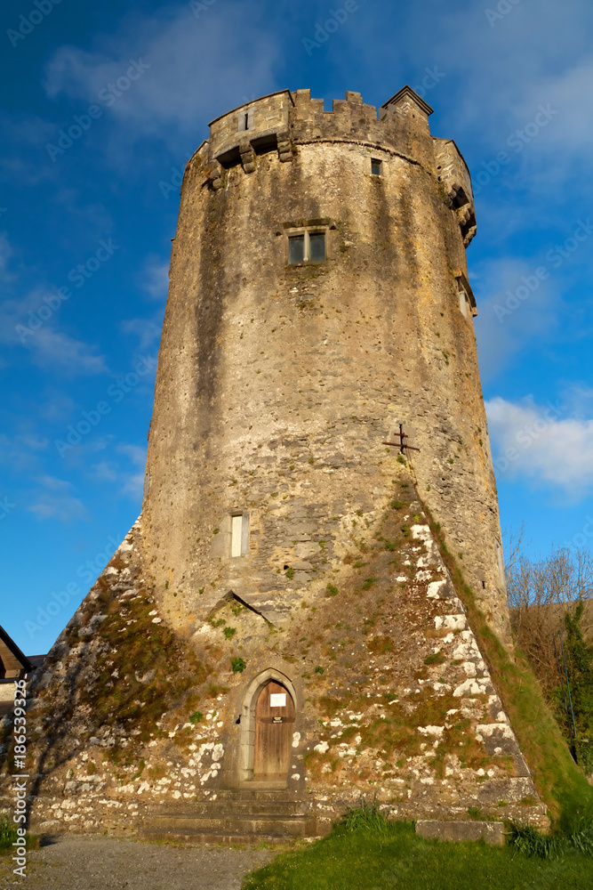 Newtown Castle, Co. Clare, Ireland