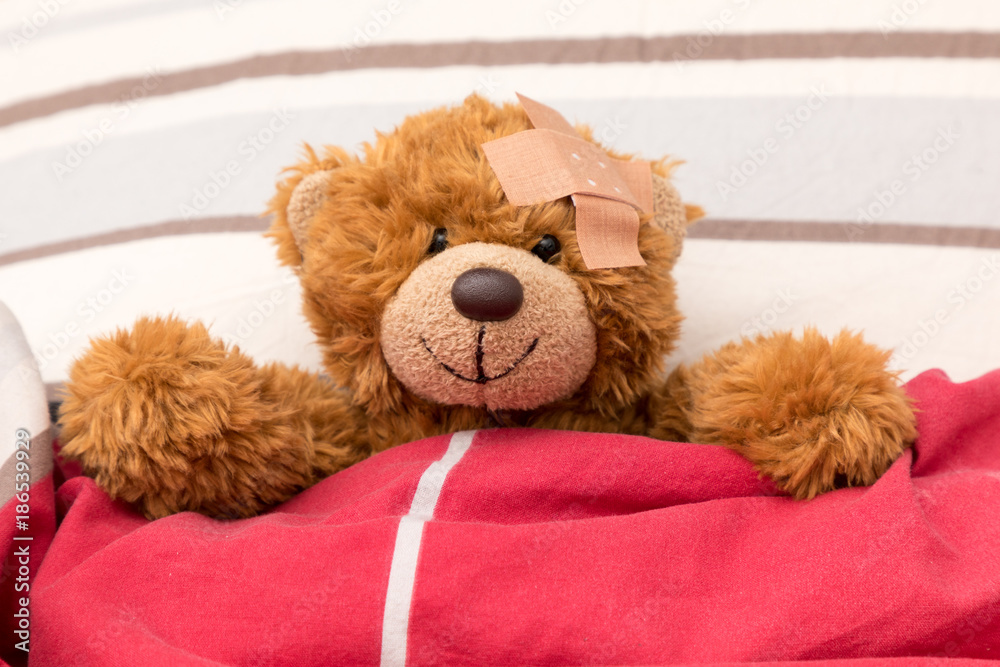 teddy bear with sticking plaster
