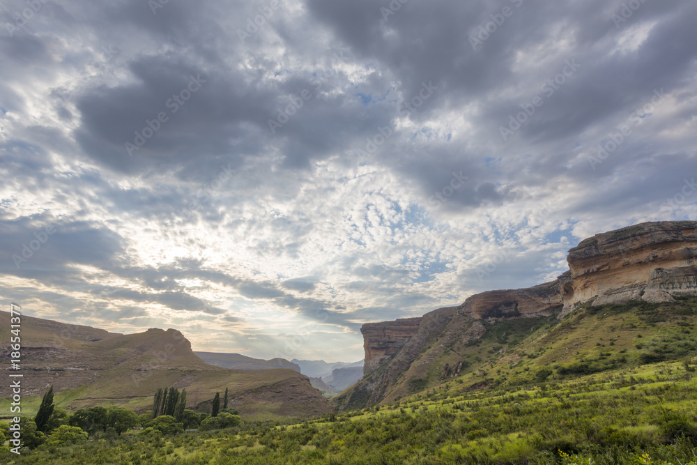 Naklejka premium Grey clouds and green grass