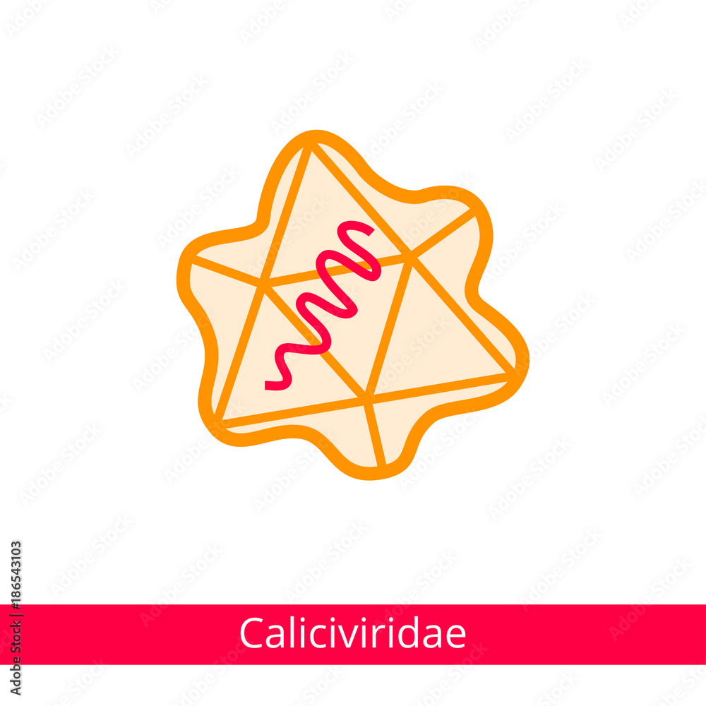 Caliciviridae. Classification of viruses. Vector biology icons, medical virus icons. Caliciviridae. Classification of viruses. Vector biology icons, medical virus icons.
