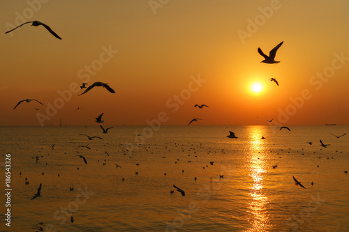 Group of silhouette seagulls flying over the sea on twilight sky at sunset © Naypong Studio