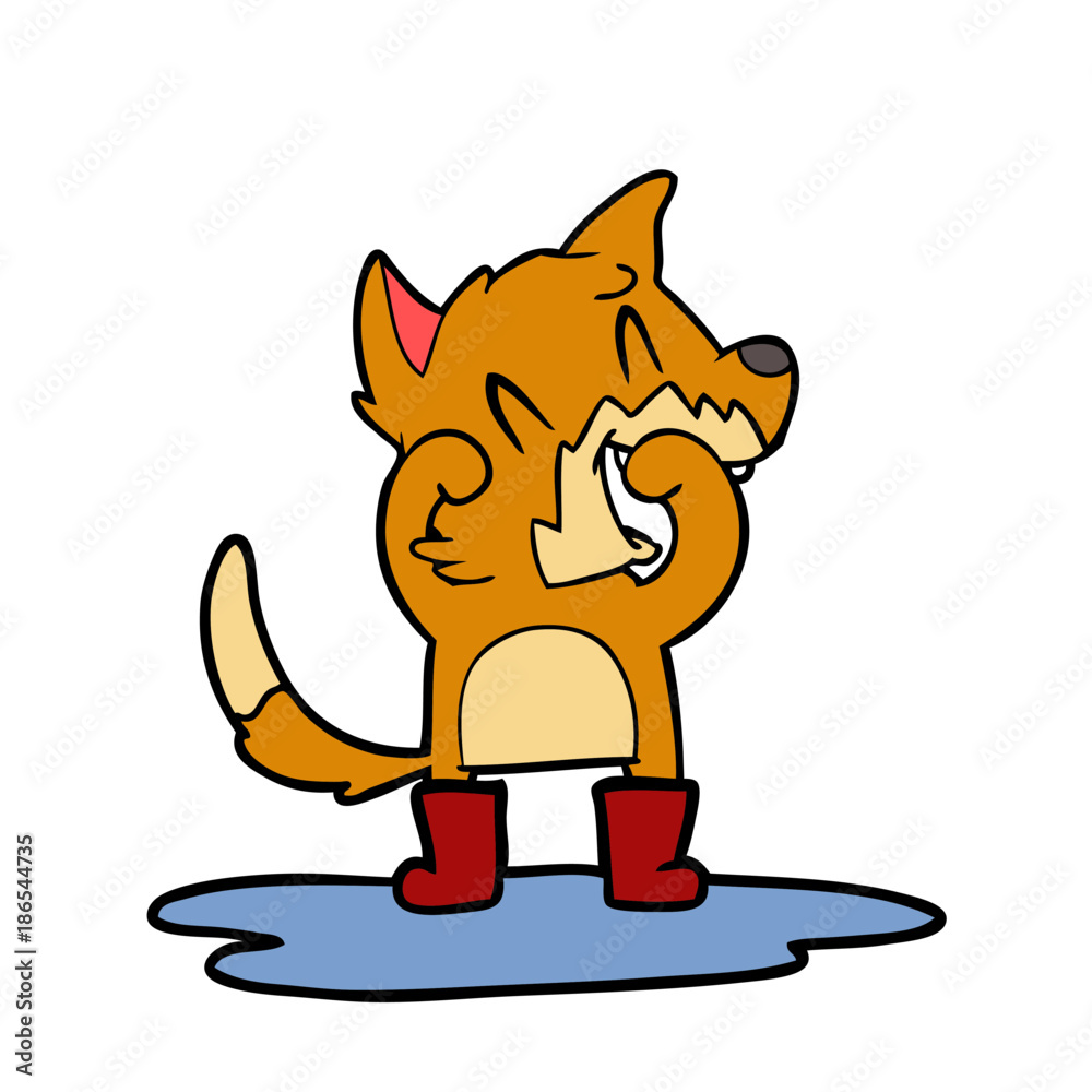 laughing fox standing in a puddle laughing fox standing in a puddle