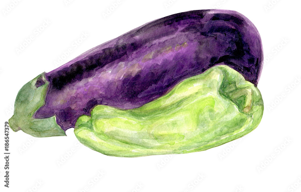 Obraz premium Eggplant bell pepper hand painted watercolor illustration fruits and vegetables collection food 
