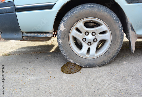 a dirty wheel of van treading on the  cow's excrement