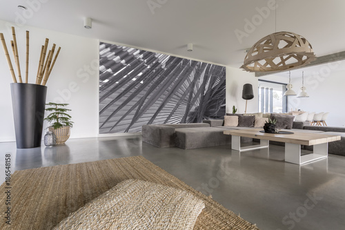 Fotografía Living room with grey mural