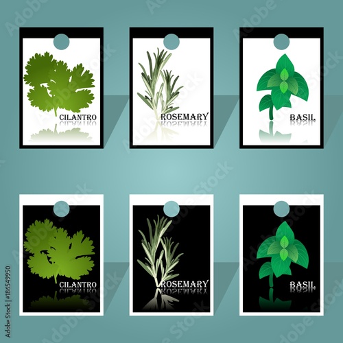 Labels with seasonings