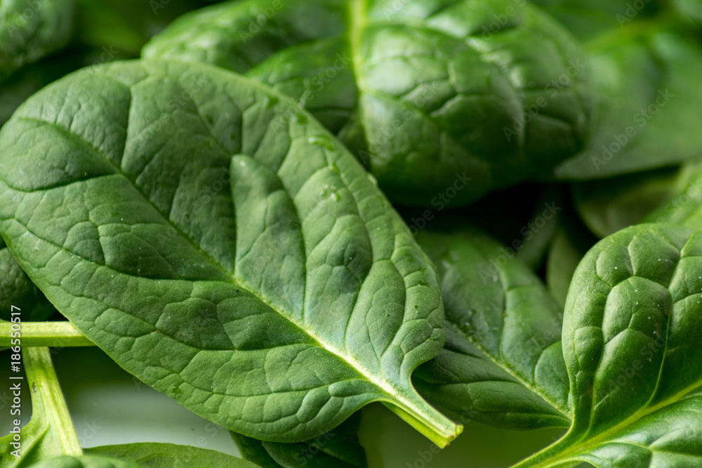 Obraz premium spinach on white background