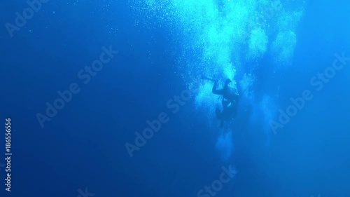 Wallpaper Mural divers and the red sea Torontodigital.ca