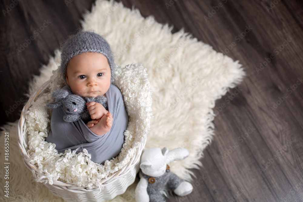 Sweet baby boy in basket, holding and hugging teddy bear, looking curiously at camera Sweet baby boy in basket, holding and hugging teddy bear, looking curiously at camera