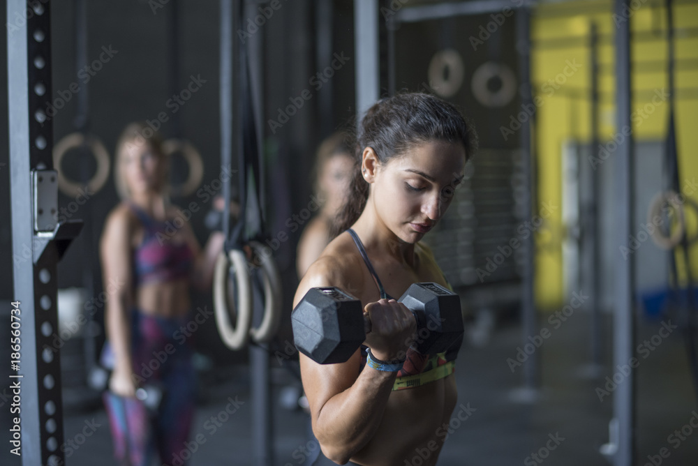 Women training biceps in gym with ambient light Women training biceps in gym with ambient light