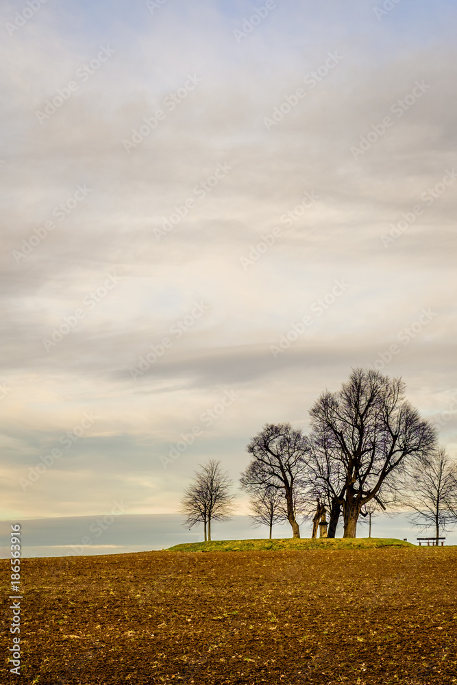 Trees on grass by brown field at the edge of Prague