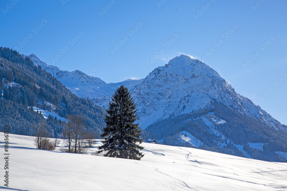 Rubihorn - Fischen - Allgäu - Winter - Winterwonderland - Oberstdorf