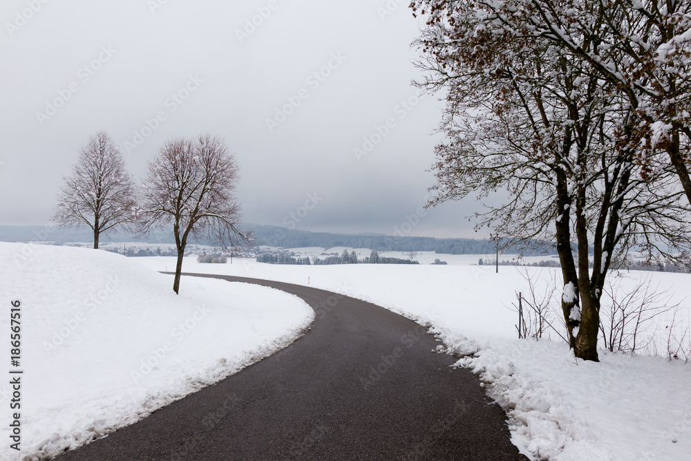 A curvy road in the midst of snow, with some trees at the sides A curvy road in the midst of snow, with some trees at the sides