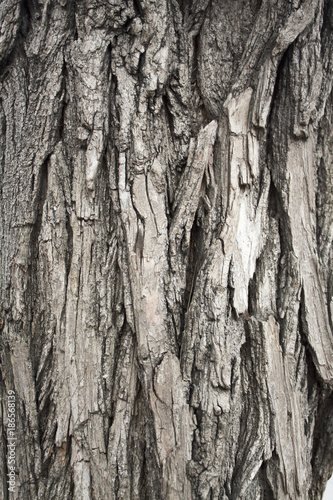 Foto relief texture on the wall of an old building 7