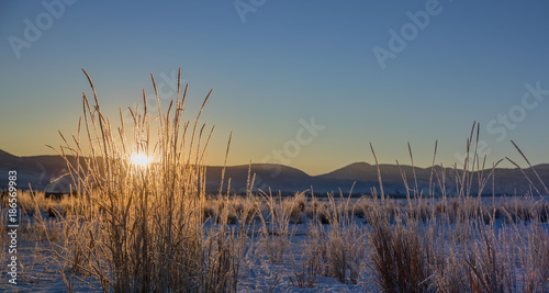 Winter sunrise with frosted grass