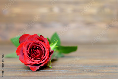 Valentines Day red rose on wooden background with copy space