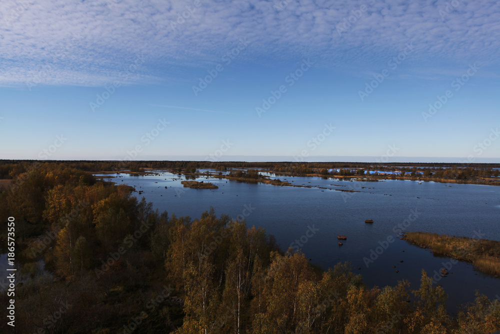 Lake in finland in summertime