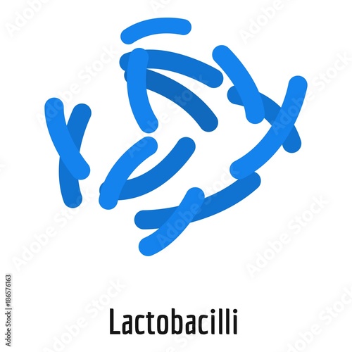Lactobacilli icon. Cartoon illustration of lactobacilli vector icon for web. photo