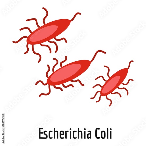 Escherichia coli icon. Cartoon illustration of escherichia coli vector icon for web.