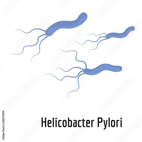 Helicobacter pylory icon. Cartoon illustration of helicobacter pylory vector icon for web. photo