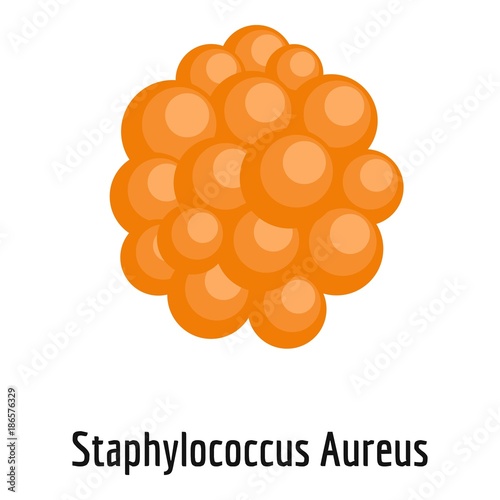 Staphylococcus aureus icon. Cartoon illustration of staphylococcus aureus vector icon for web. photo
