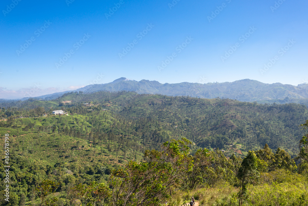 The Namunukula mountain seen from the little Adams peak, a famous viewpoint close to the small town Ella, located in the Uva province of Sri Lanka