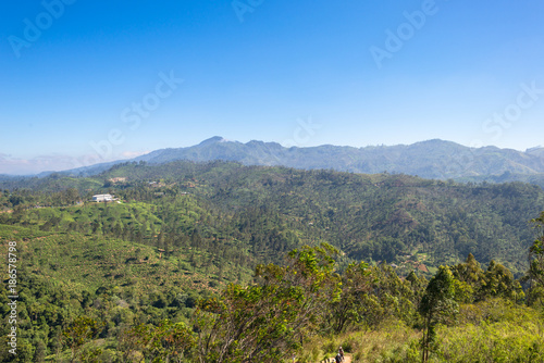 The Namunukula mountain seen from the little Adams peak, a famous viewpoint close to the small town Ella, located in the Uva province of Sri Lanka