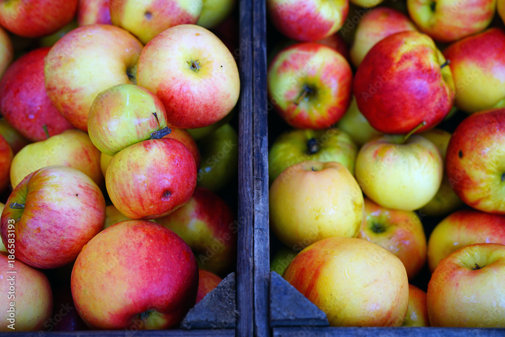 Crates of heirloom apples at a French farmers market