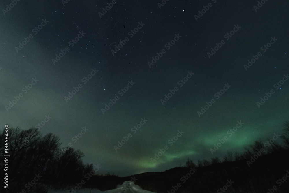 Northen lights in green stars and borealis in an show with a road lit up