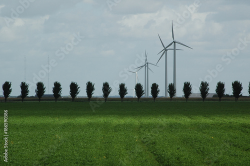 Windenergy in Flevoland Netherlands photo