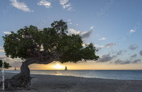 Sunset at Eagle beach with fofoti photo