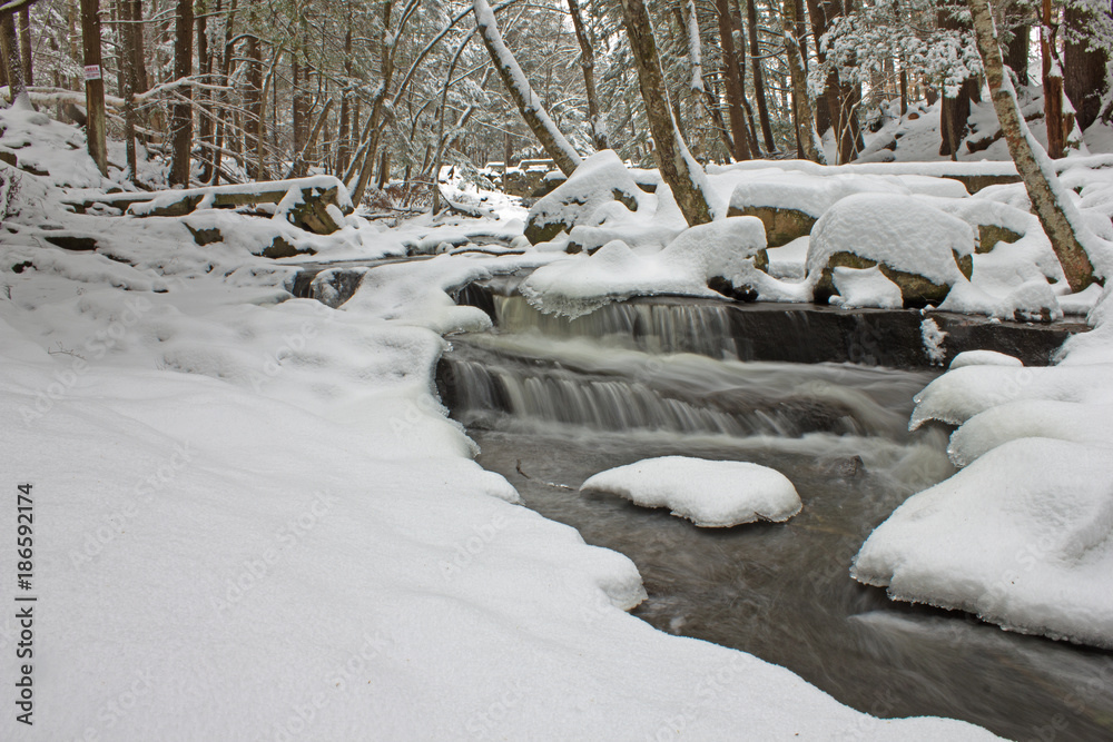 Fototapeta premium Snowy stream with Waterfall