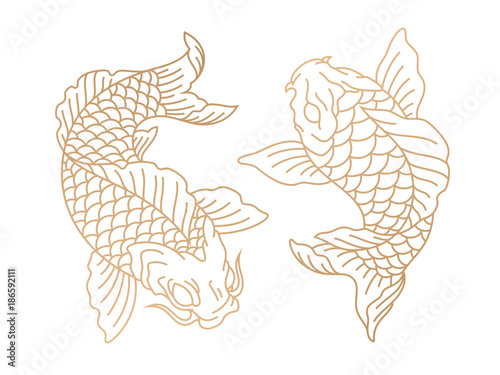 Koi fish. Japanese carp fish. Vector illustration