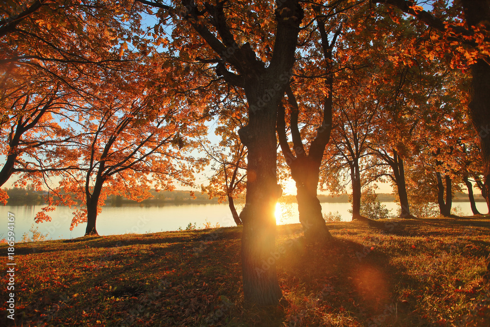Fototapeta premium Beautiful autumn sunset over lake in Russia