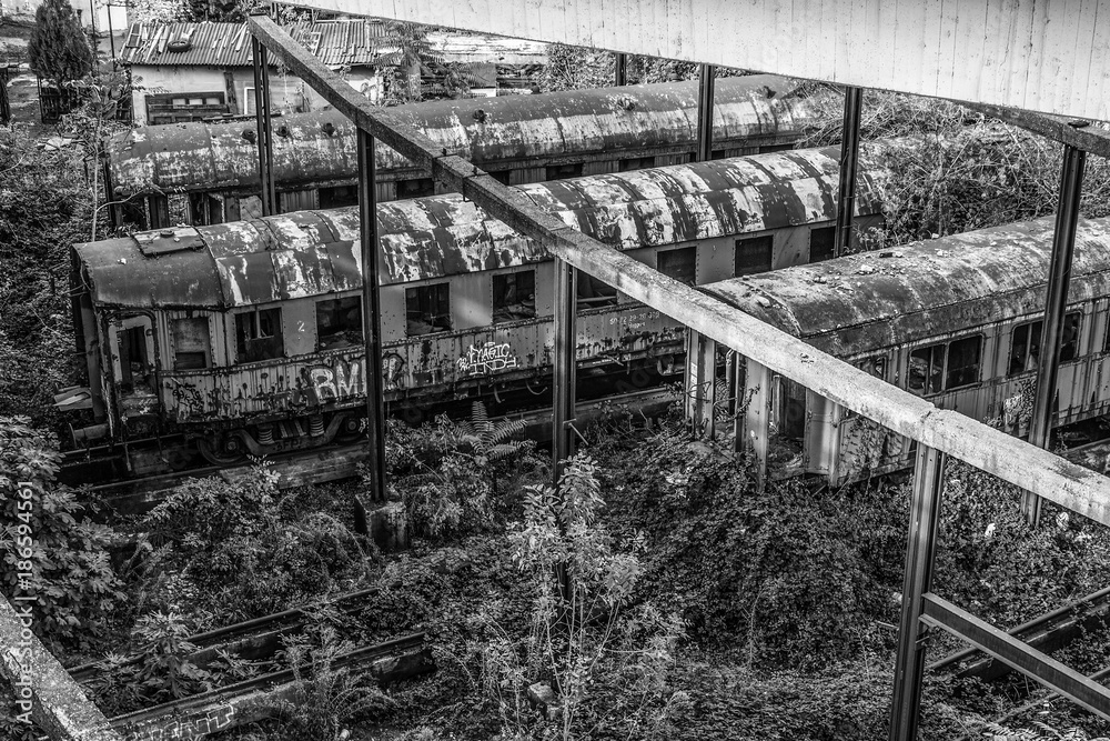 Fototapeta premium Belgrade, Serbia October 16, 2014: Abandoned trains in Belgrade