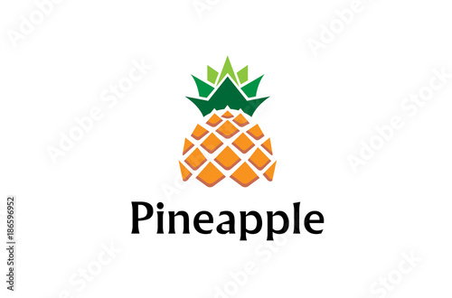 Creative Geometric Pineapple Fruit Logo Design Symbol Illustration