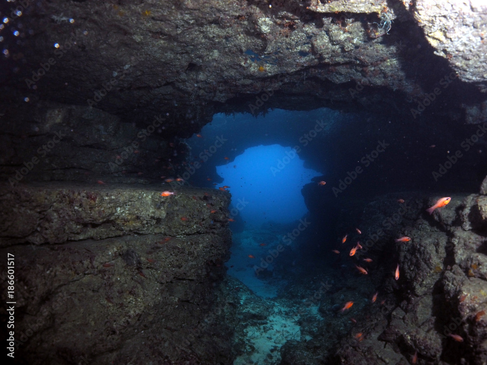 Foto Stock Scuba Diving Malta Gozo Comino - Alex Cave - Comino | Adobe Stock