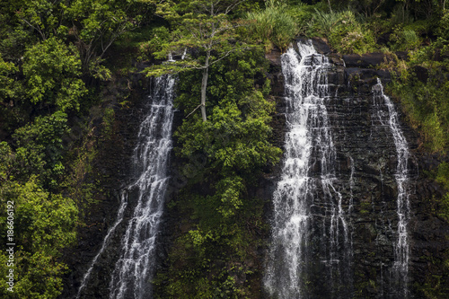  Opaeka a Falls on the island of Kauai  Hawaii