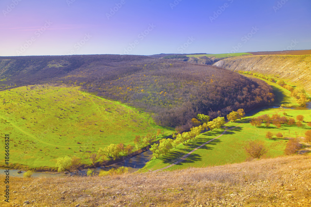 Fototapeta premium beautiful spring landscape