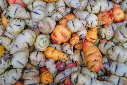 Wallpaper Mural Colorful orange and yellow roots of Mashua (Tropaeolum tuberosum), an Andean vegetable, at a French farmers market  Torontodigital.ca